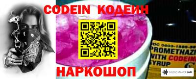 индика Можга