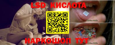 индика Можга