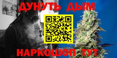 индика Можга