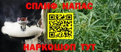 сатива Моздок