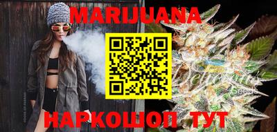 индика Можга