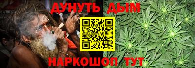 индика Можга