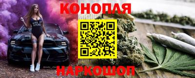 индика Можга