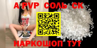 индика Можга